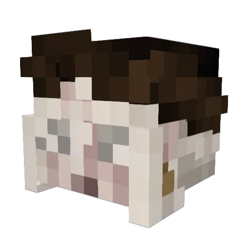 Mayios Minecraft avatar head, 3D render