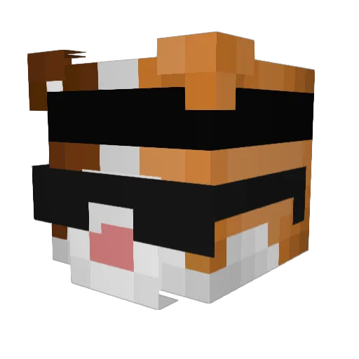Minecraft-Avatar von Maykholl: Kopf als 3D-Render