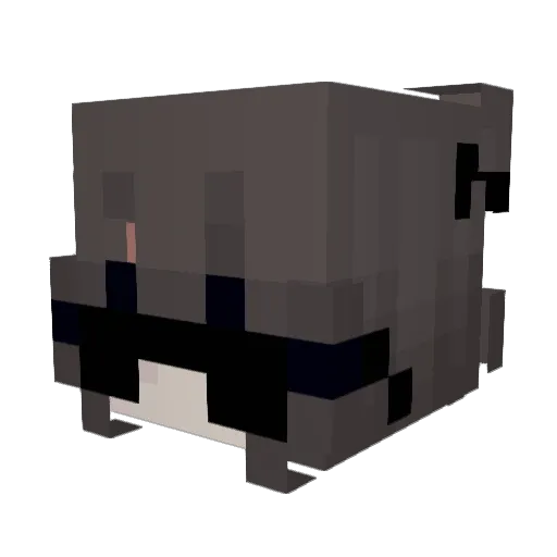 Mayla_d Minecraft avatar head, 3D render