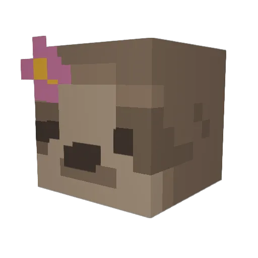 Maynarem Minecraft avatar head, 3D render