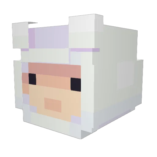 Mayne98 Minecraft avatar head, 3D render