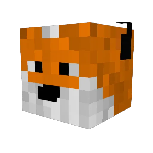 Mayo81 Minecraft avatar head, 3D render