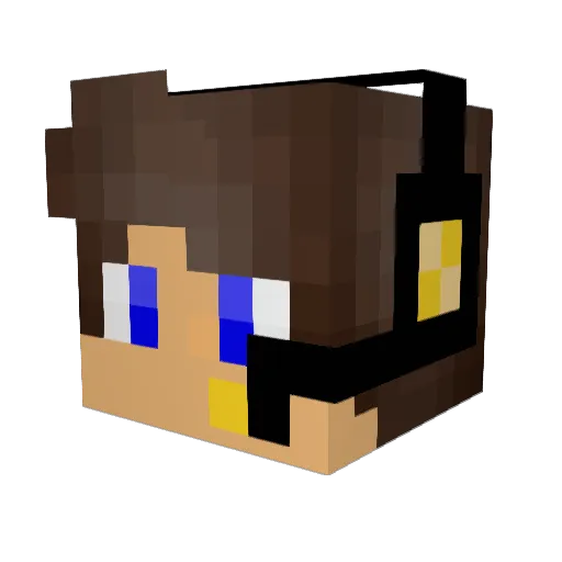 MayoCam Minecraft avatar head, 3D render
