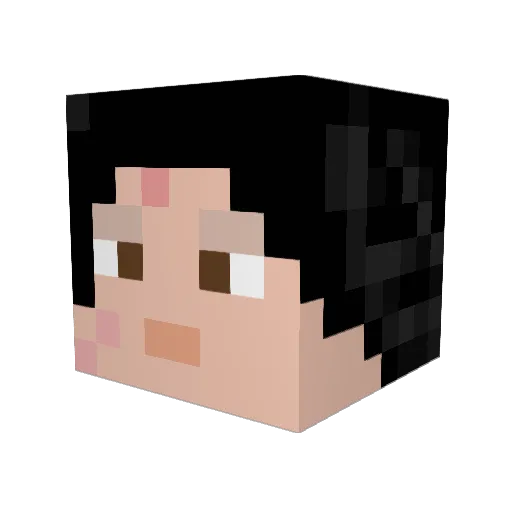 Mayo_Saga Minecraft avatar head, 3D render