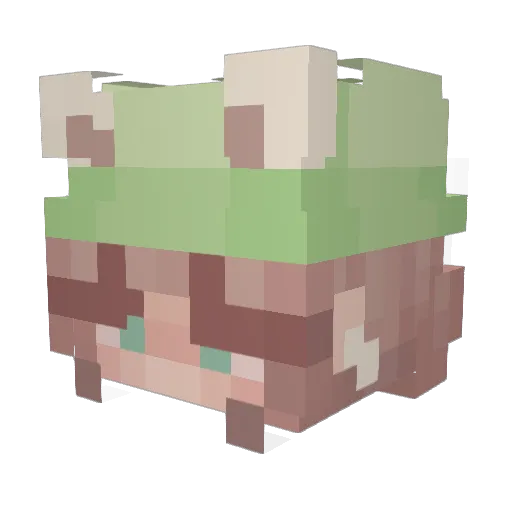 Mayopti_ Minecraft avatar head, 3D render