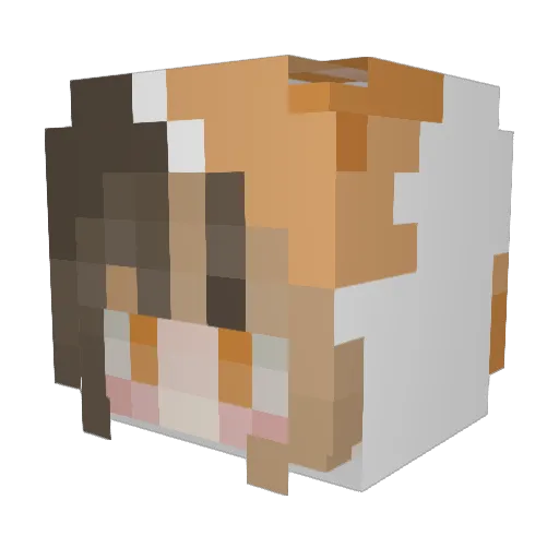 MayorWarwick Minecraft avatar head, 3D render