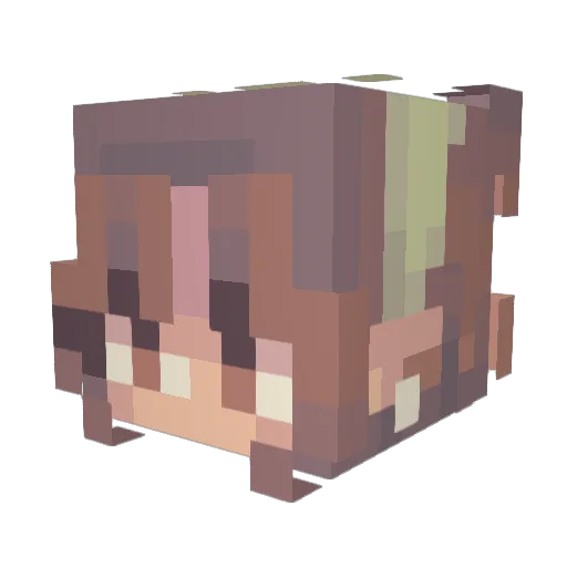 Mayson1117 Minecraft avatar head, 3D render
