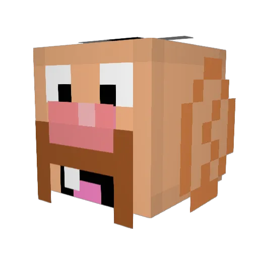 MayterCraft Minecraft avatar head, 3D render