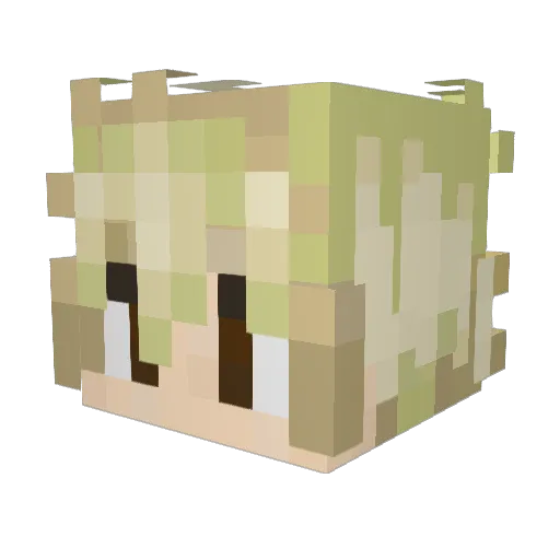 MazeFR Minecraft avatar head, 3D render