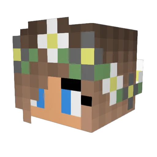 Mbemis2004 Minecraft avatar head, 3D render