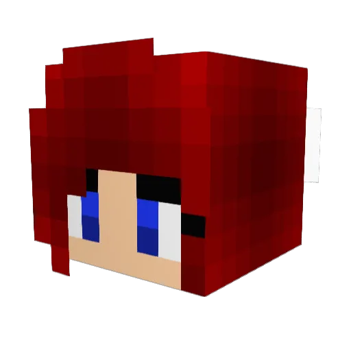 Mboycraft Minecraft avatar head, 3D render