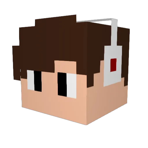 McBeanz_ Minecraft avatar head, 3D render