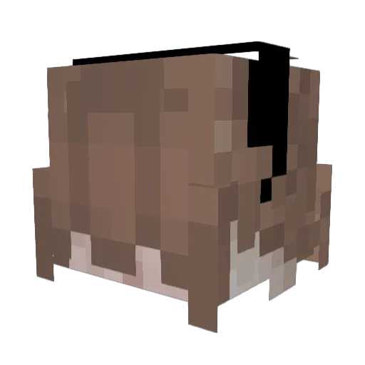 McBiscuit04 Minecraft avatar head, 3D render
