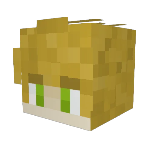 McCartyGus Minecraft avatar head, 3D render