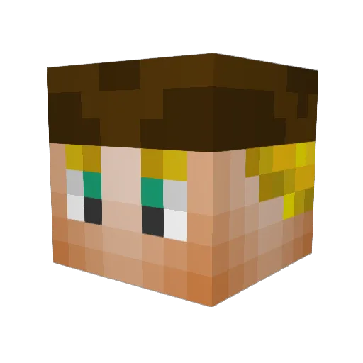 McClureFam09 Minecraft avatar head, 3D render
