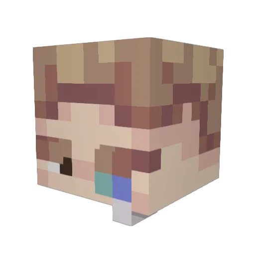 McCompetence Minecraft avatar head, 3D render