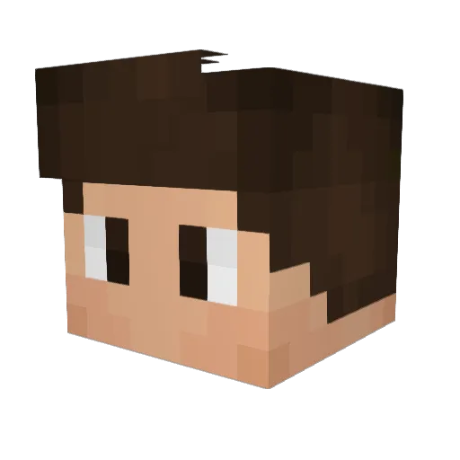 McConfirmed Minecraft avatar head, 3D render