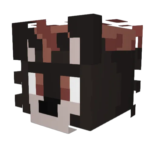 McCookie10 Minecraft avatar head, 3D render