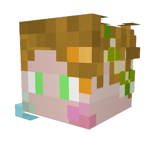 McCoskinator Minecraft avatar head, 3D render