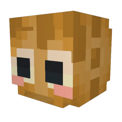 McCoy_ Minecraft avatar head, 3D render