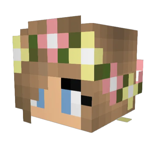 McCrazy52837 Minecraft avatar head, 3D render