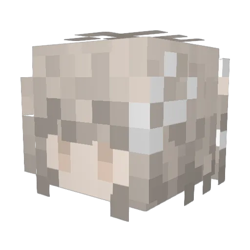 McDj26 Minecraft avatar head, 3D render