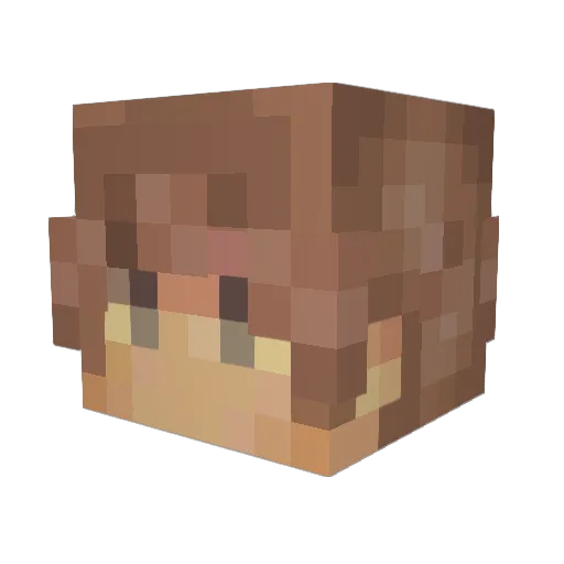 McDonaldFart Minecraft avatar head, 3D render