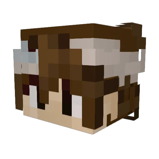 McDoormat Minecraft avatar head, 3D render