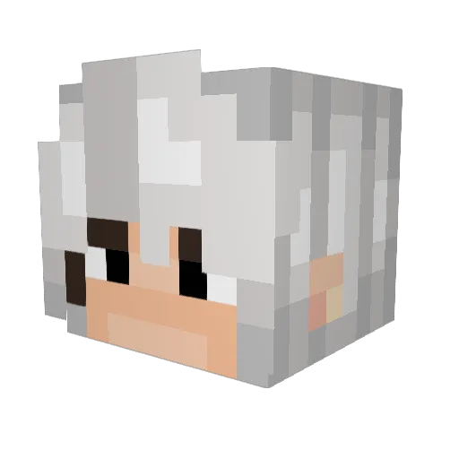 McDuccy Minecraft avatar head, 3D render