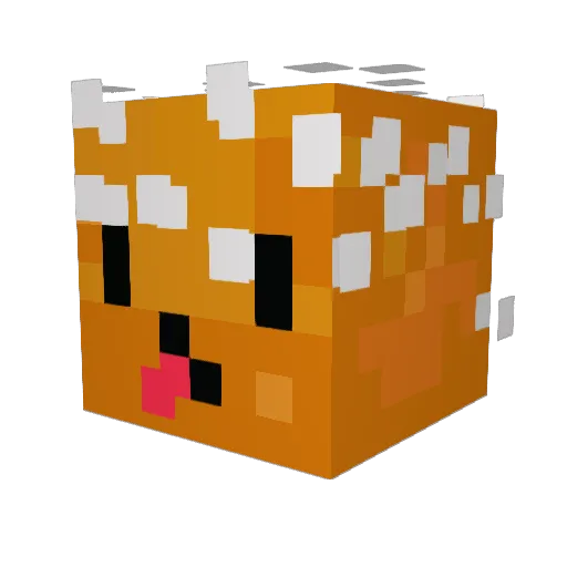 McFloppyBacon Minecraft avatar head, 3D render