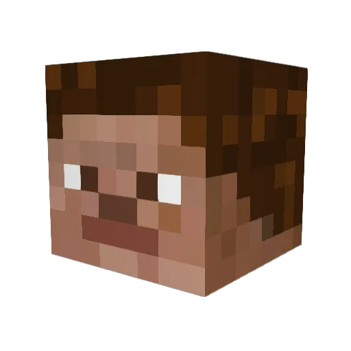 McFool4 Minecraft avatar head, 3D render