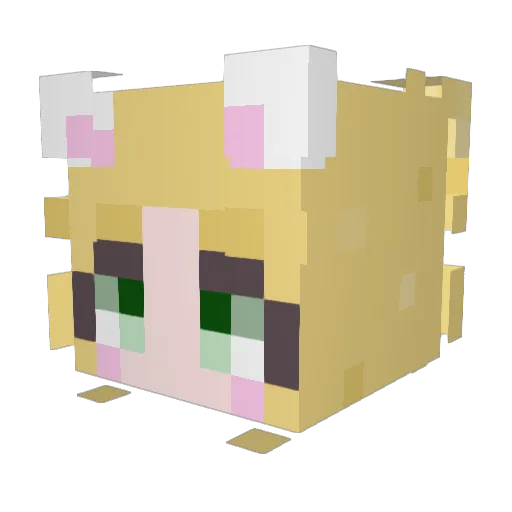McFurry69 Minecraft avatar head, 3D render