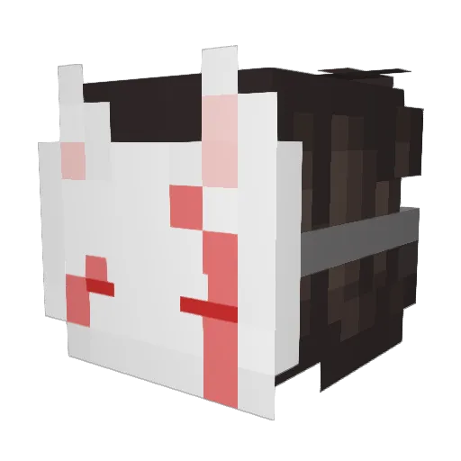 McGracer Minecraft avatar head, 3D render