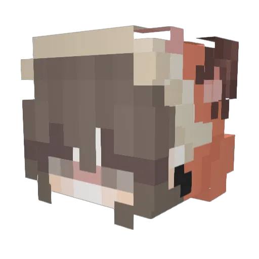 McGruber208 Minecraft avatar head, 3D render