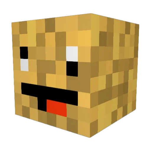 McHaydn Minecraft avatar head, 3D render