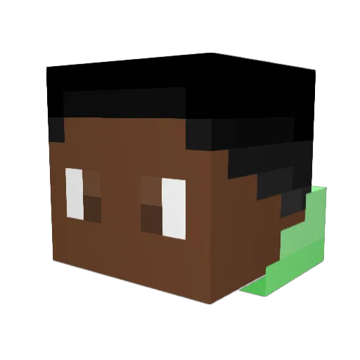 McHuggett Minecraft avatar head, 3D render