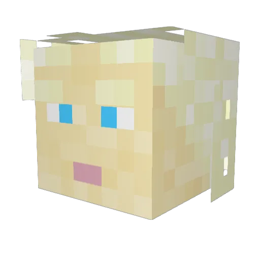 McKenzie_Lynn Minecraft avatar head, 3D render