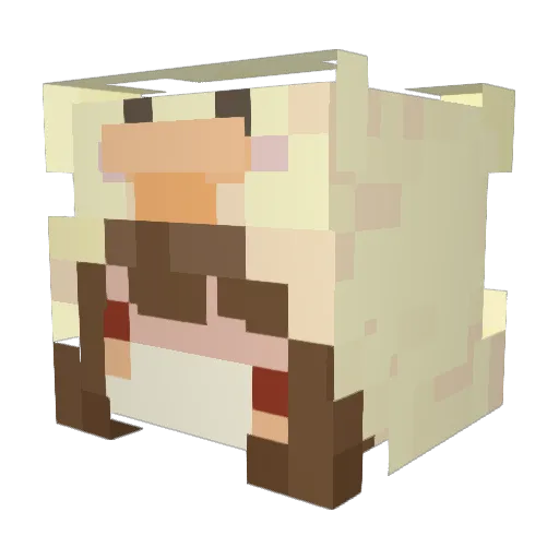 McLani Minecraft avatar head, 3D render
