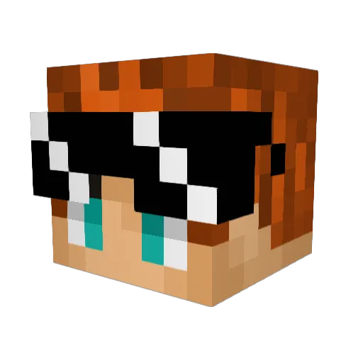 McMaster273 Minecraft avatar head, 3D render