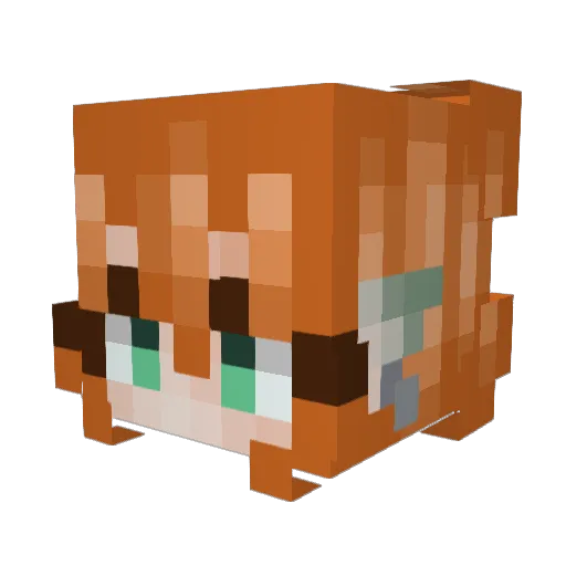 McMegqn Minecraft avatar head, 3D render