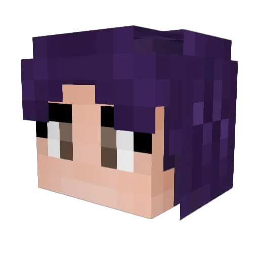 McMillan69 Minecraft avatar head, 3D render