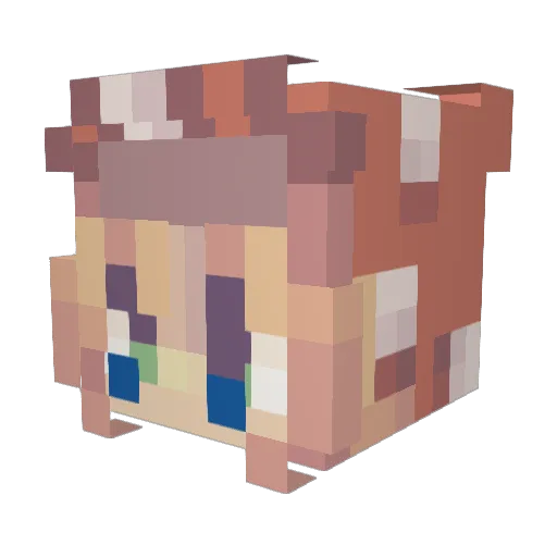 McNuggets2405 Minecraft avatar head, 3D render