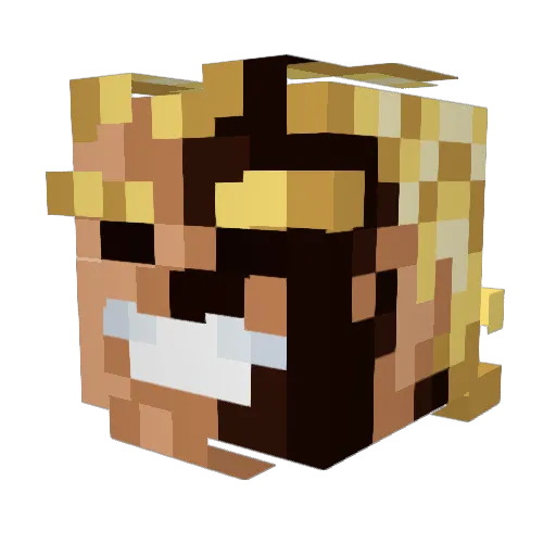 McPatty317 Minecraft avatar head, 3D render