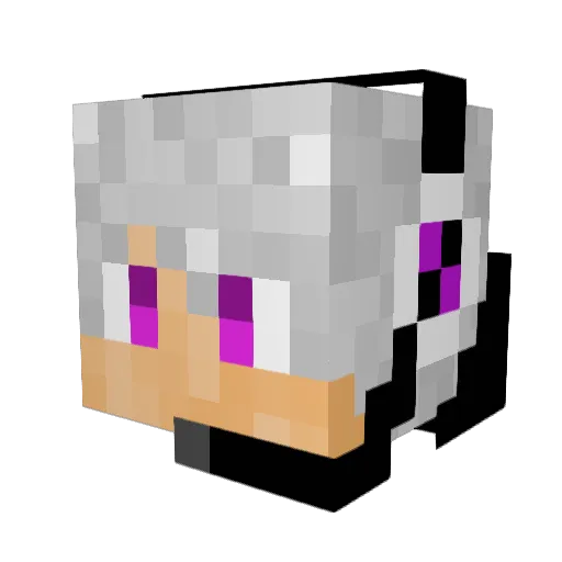 McPaul9 Minecraft avatar head, 3D render