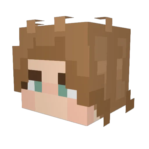 McPigeon69 Minecraft avatar head, 3D render