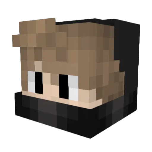 McPvpMaster3529 Minecraft avatar head, 3D render