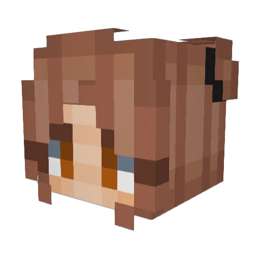 McSchmitty456 Minecraft avatar head, 3D render