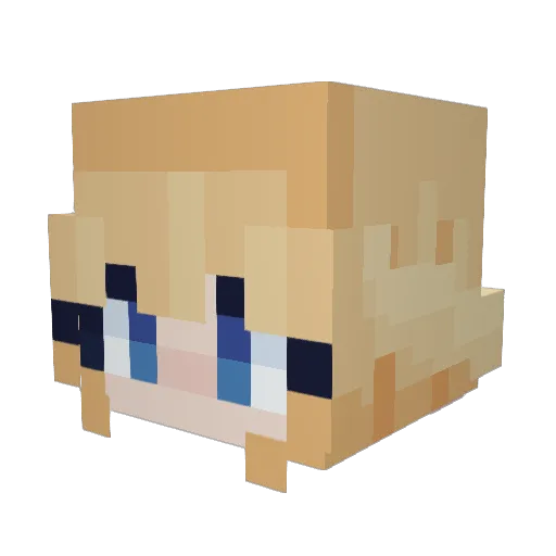 McShadowNS Minecraft avatar head, 3D render