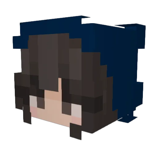 McShadyCafe Minecraft avatar head, 3D render