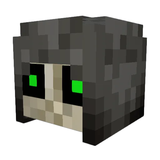 McSolis Minecraft avatar head, 3D render